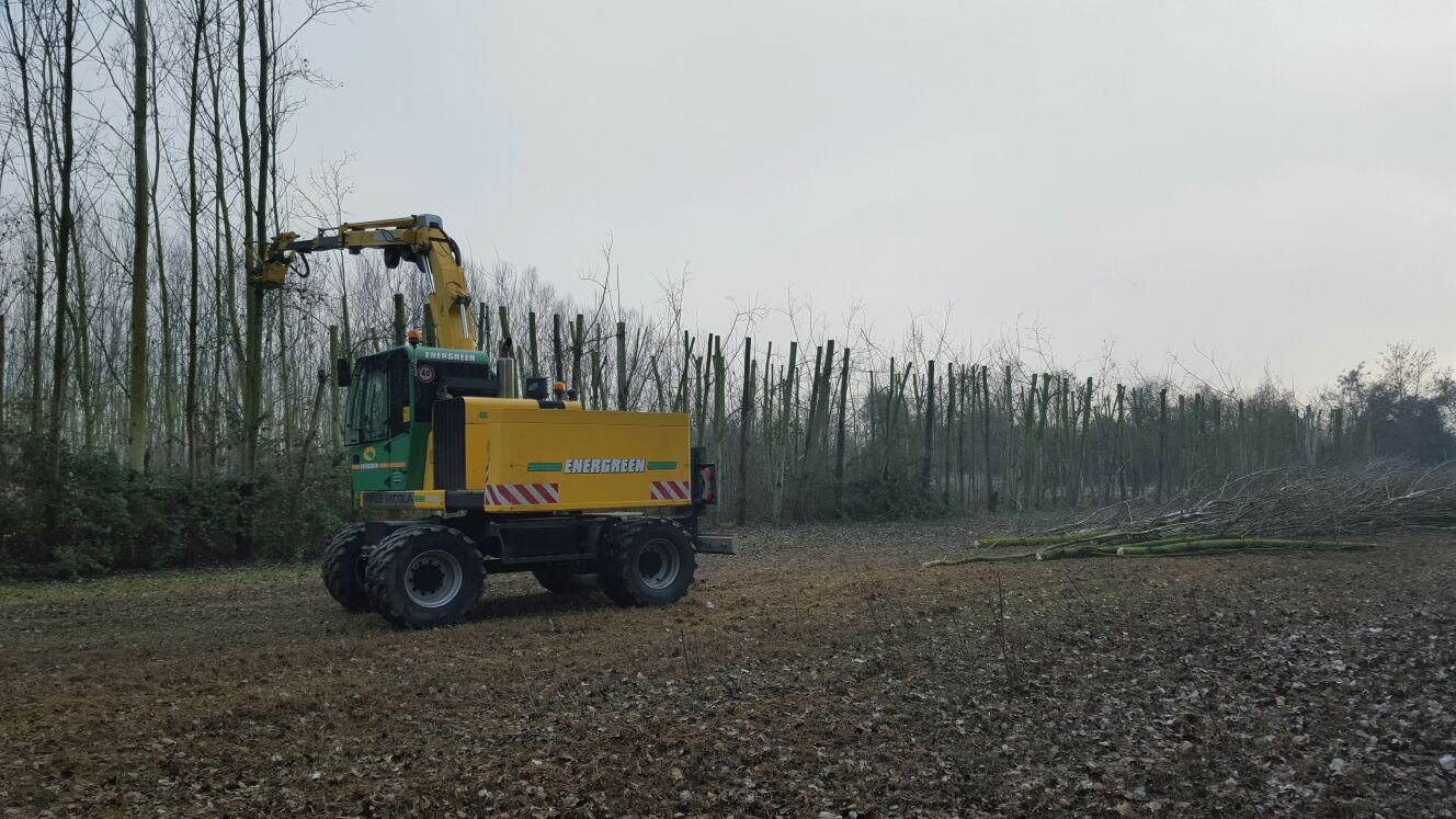 AGRICOLA SANT'ILARIO 1 AGRICOLA SANT'ILARIO 1